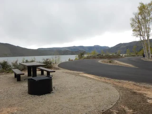 Campsite 50