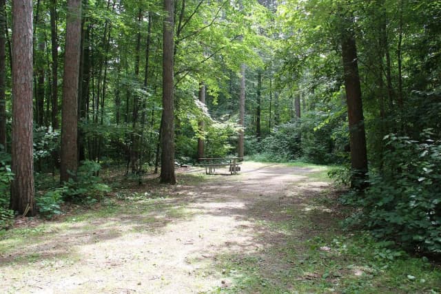 Site 5 South