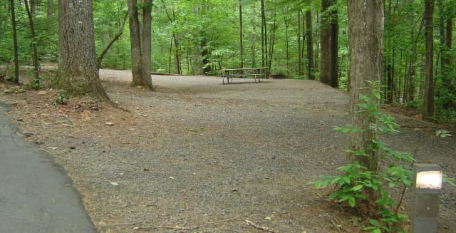 Site 48
