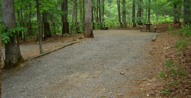Site 49