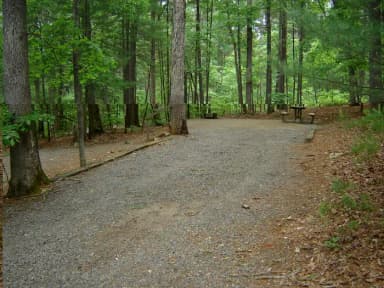 Site 49