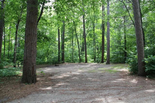 Site 6 South