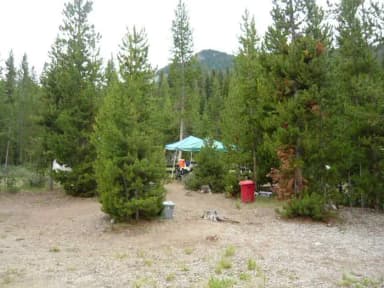 Group Site B