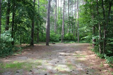 Site 7 South