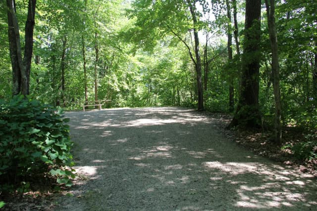 Site 8 North