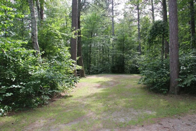 Site 8 South