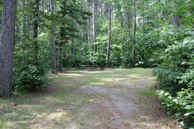 Site 10 South