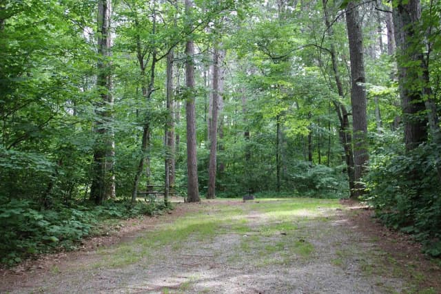 Site 18 South