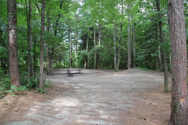 Site 24 South