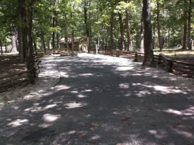 Campsite 15