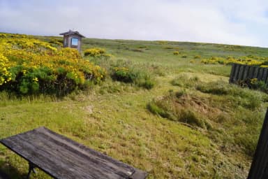 Wood picnic table and five-foot windbreak surrounded by yellow flowering plant