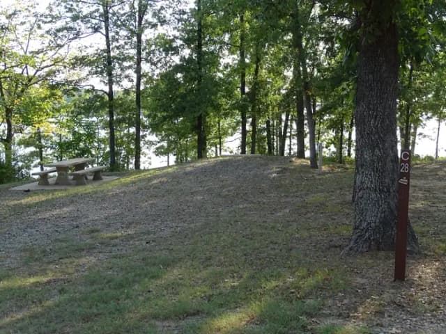 C28