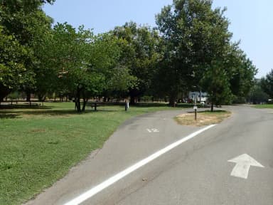 Site 012 at Sycamore Grove (Red Bluff) Campground