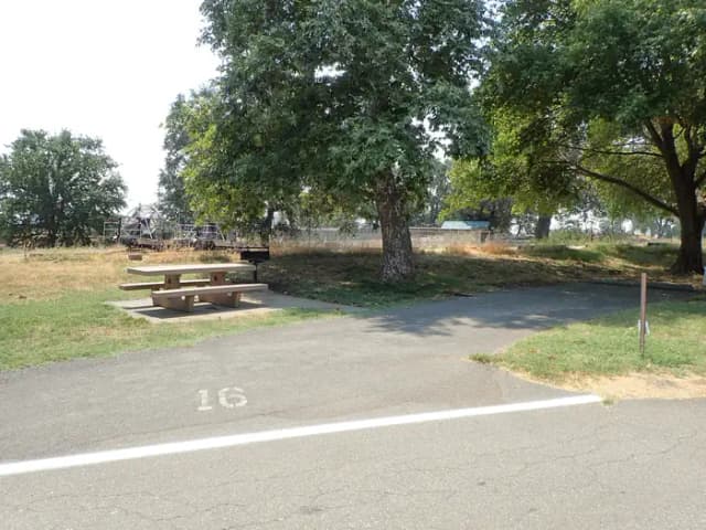 Site 016 at Sycamore Grove (Red Bluff) Campground