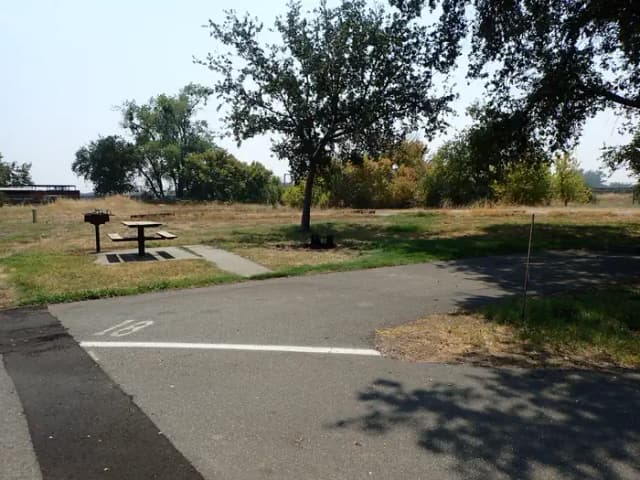 Site 018 at Sycamore Grove (Red Bluff) Campground