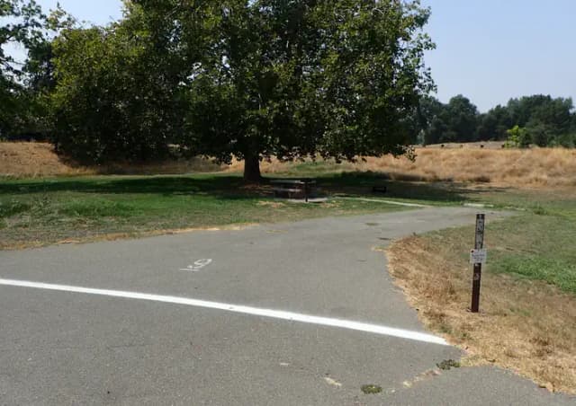Site 009 at Sycamore Grove (Red Bluff) Campground