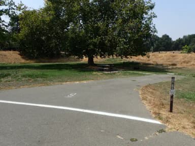 Site 009 at Sycamore Grove (Red Bluff) Campground