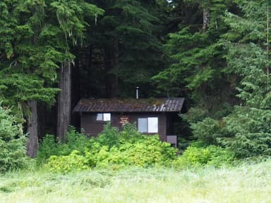 Harding River Cabin brown cabin surrounded by trees and greenery