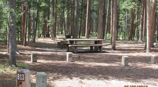 Site B13, surrounded by pine trees, picnic table & fire ring