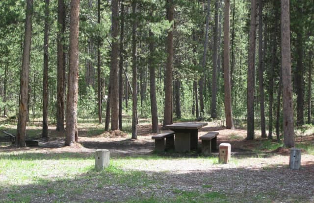 Site B14, surrounded by pine trees, picnic table & fire ring