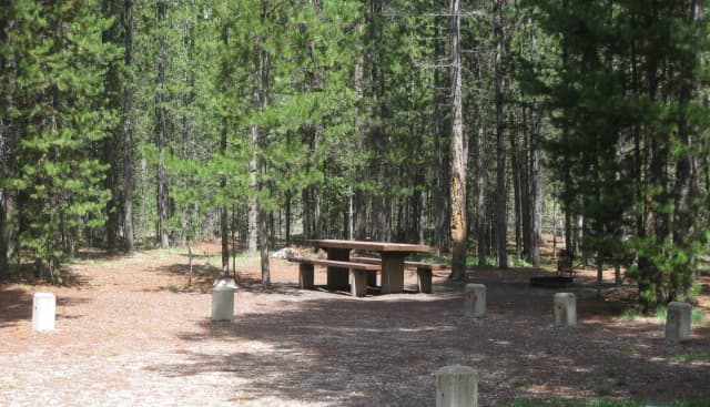 Site B18, surrounded by pine trees, picnic table & fire ring