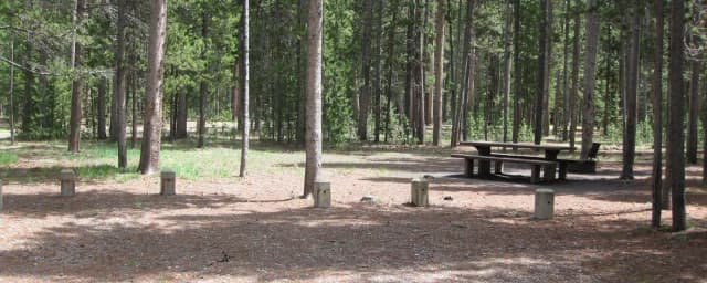 Site B2, surrounded by pine trees, picnic table & fire ring