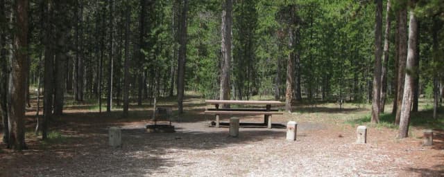 Site B3, surrounded by pine trees, picnic table & fire ring