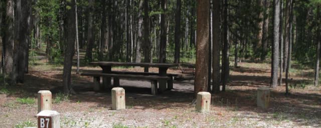 Site B7, surrounded by pine trees, picnic table & fire ring