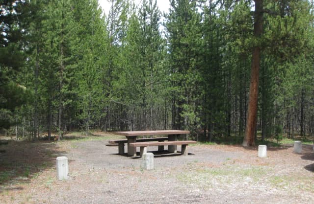 Site C27, surrounded by pine trees, picnic table & fire ring