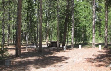 Loop C · Site C05 at Rainbow Point Campground