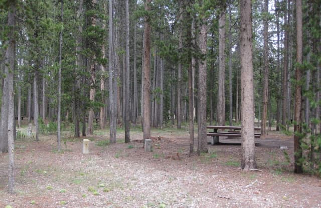 Site D8, surrounded by pine trees, picnic table & fire ring