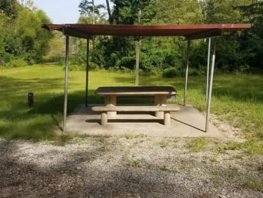 Loop SCRE · Site 03 at Sandy Creek
