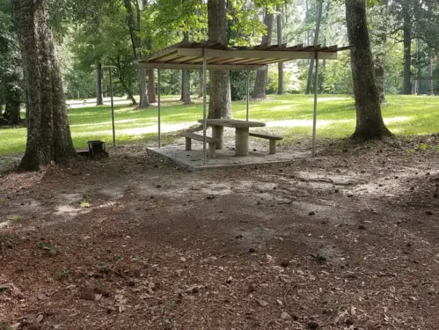 Loop SCRE · Site 04 at Sandy Creek