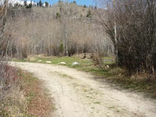 Campsite 7