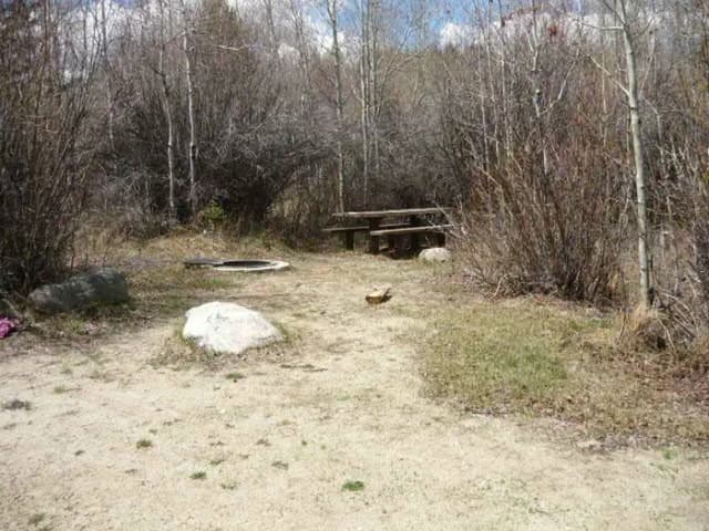 Campsite 9