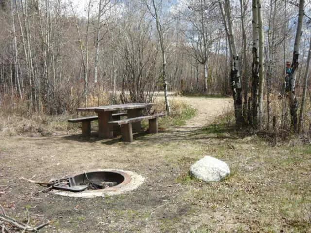 Campsite 10