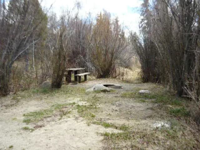 Campsite 14