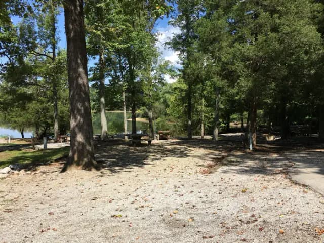 Loop BMIL · Site 31 at Bumpus Mills