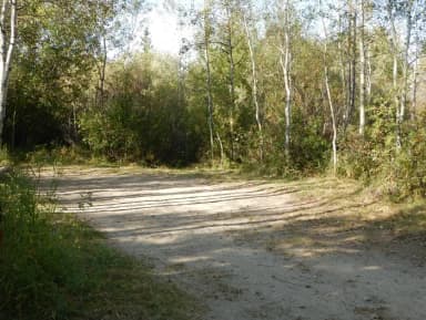 campsite 8