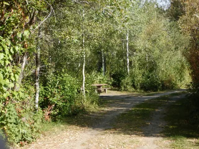Campsite 11