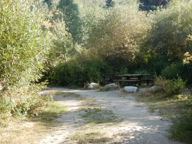 Campsite 12