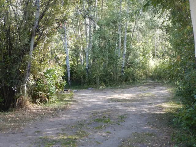 Campsite 16