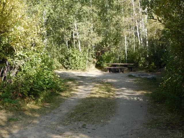 Campsite 17