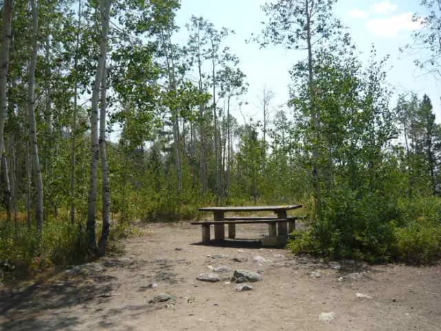 Campsite 8