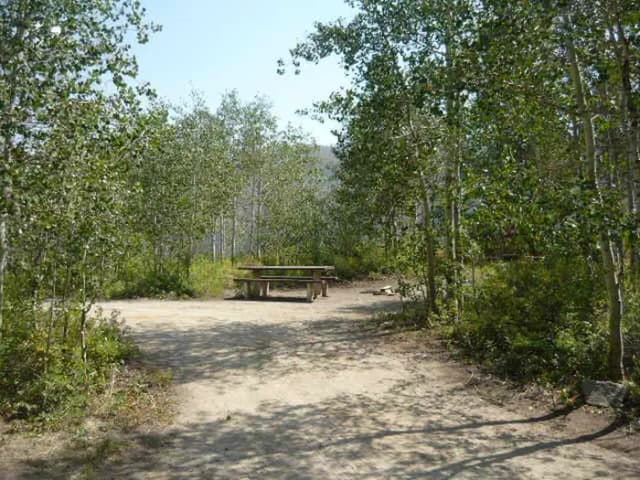 Campsite 15