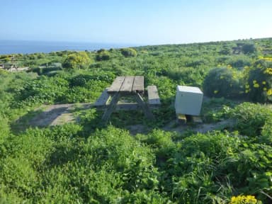 Campsite with picnic table on ocean bluff.