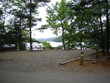 Site #20