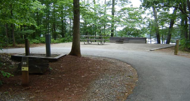 Site #25