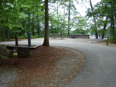 Site #25