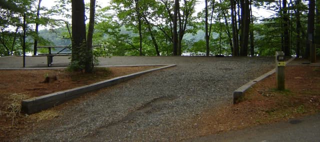 Site #29
